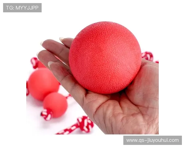 耐咬胶皮足球狗玩具助力犬只快乐成长与牙齿健康的完美选择